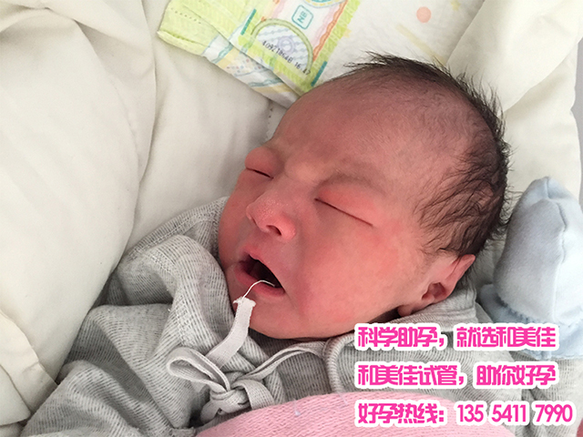广州代妈
