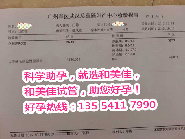广州代妈