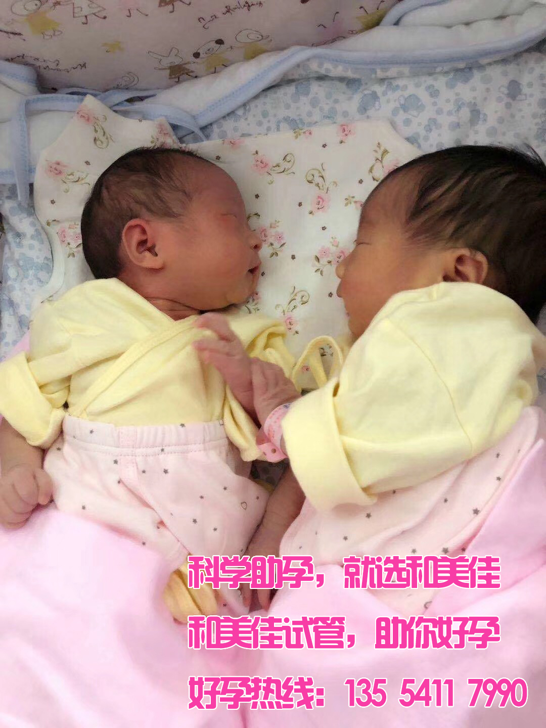 广州代妈