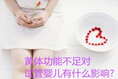 黄体功能不足对试管婴儿有什么影响