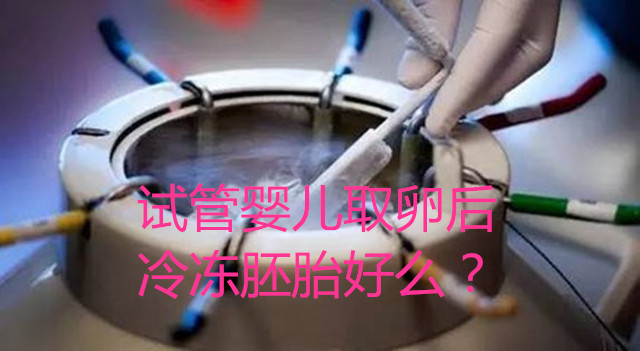 试管婴儿取卵后冷冻胚胎好么?