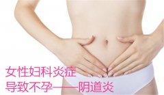 代妈妇科炎症导致不孕——阴道炎