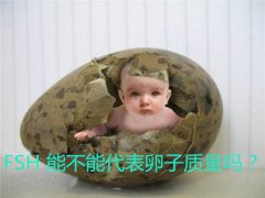 FSH 能不能代表卵子质量吗？