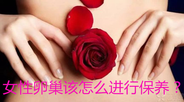 代妈卵巢该怎么进行保养?