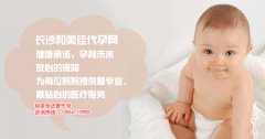 试管婴儿助孕分为四个阶段